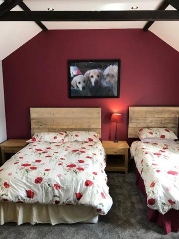 Holywell Grange Farm Villa Whitley Bay Kültér fotó